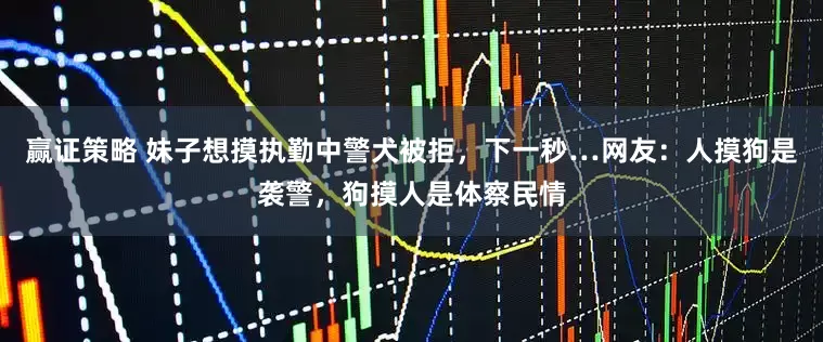 赢证策略 妹子想摸执勤中警犬被拒，下一秒…网友：人摸狗是袭警，狗摸人是体察民情