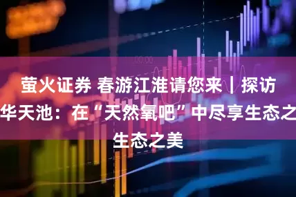 萤火证券 春游江淮请您来｜探访九华天池：在“天然氧吧”中尽享生态之美
